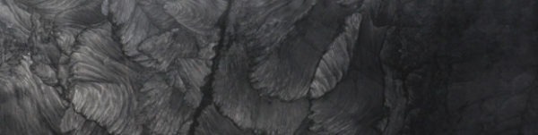 A close up of the feathers on a black background